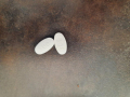 Irbesartan-1