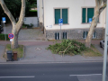Natur-parkt
