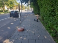 Rollerparken-in-München