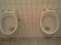 Wir-trennen