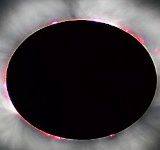 Luc Viatour, CC BY-SA 3.0 , via Wikimedia Commons